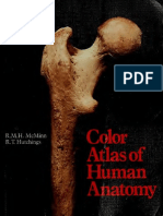 Color Atlas of Human Anatomy