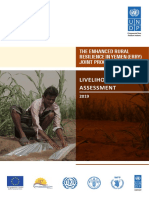 Livelihoods Impact Assessment 2019