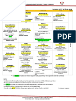 4a REC. Y TAREAS DEL 19 AL 23