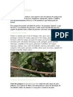 Fauna Do Pampa e Hidrografia