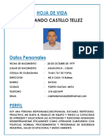 Fernando Castillo Tellez Retro