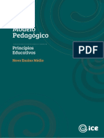 Ice - Cad 5 - Principios Educativos