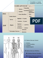 SNA Psico PDF