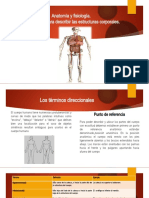 Anatomía y Fisiología