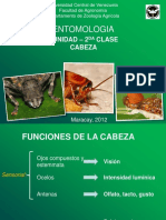 Entomologia 2012 - I Unidad - 2da Clase
