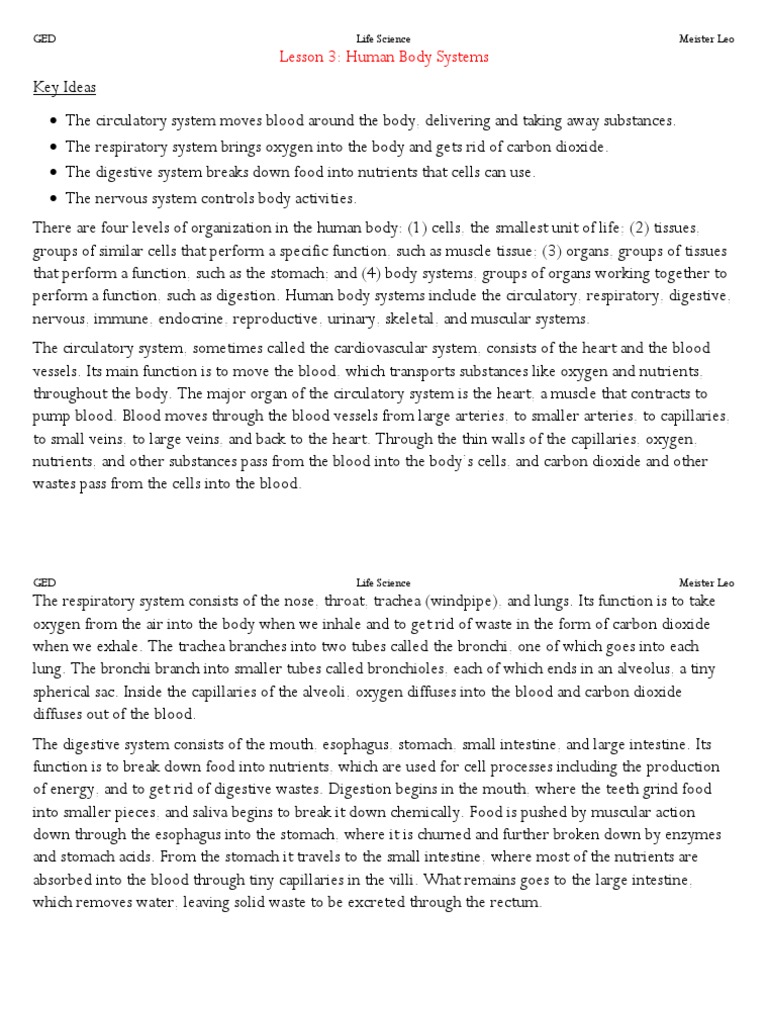 Overview of Human Body Systems | PDF | Human Body | Blood