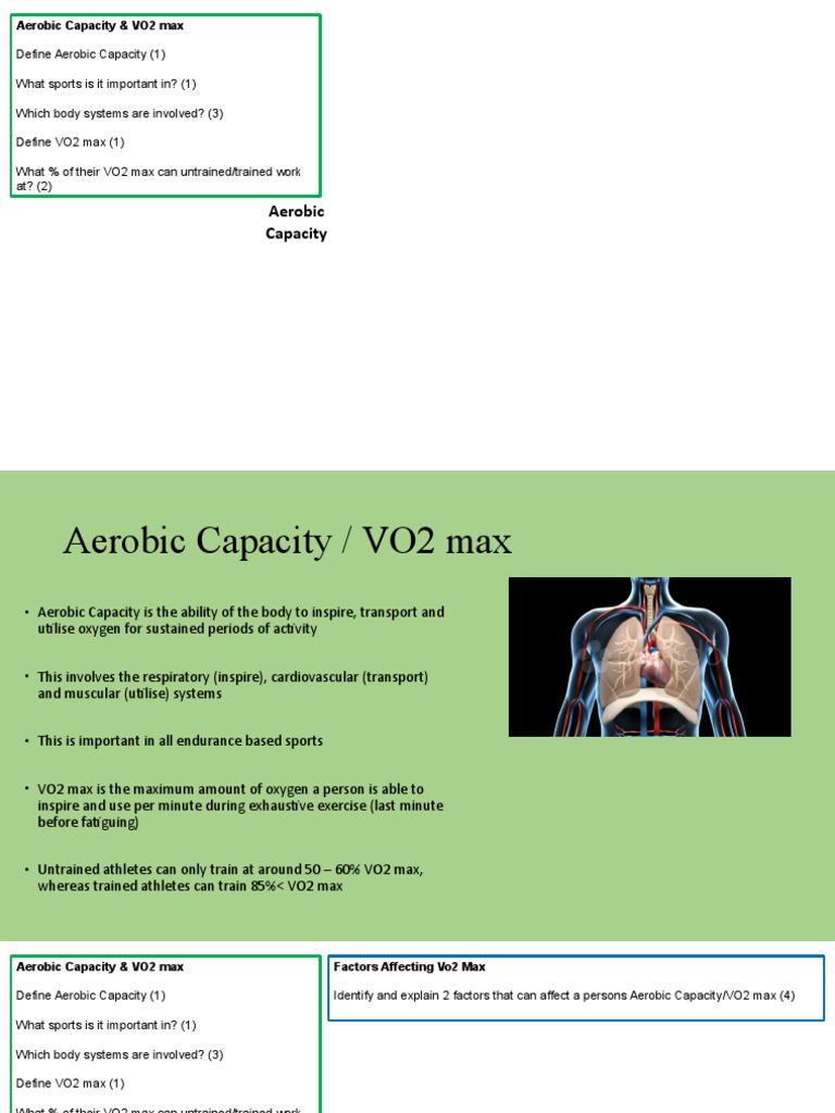 Understanding Aerobic Capacity and VO2 Max | PDF | High Intensity ...