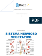 Sistema Nervioso Veg 125858 Downloadable 2801084