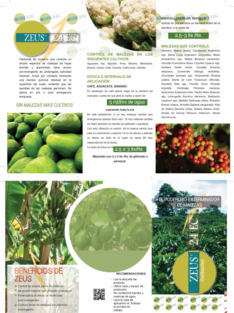 Herbicida Zeus 24 Ec | PDF
