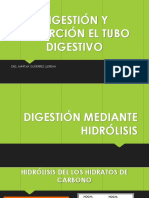 Digestión y Absorción El El Tubo Digestivo