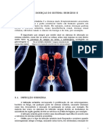 5 Urografia Parte3