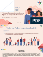 Taller de Padres y Apoderados PIE - 06 Julio 2021 - Ps. Elena Crispín