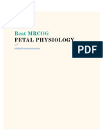 Fetal Physio 2