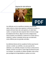 Adaptación Del Elefante Biologia 1