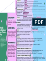 Modos Adaptativos de Callista Roy: Fisiológico