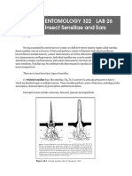 Mechanoreceptors