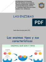 Las Enzimas