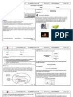 10mos MAT Febrero 2022 (Para Repaso)