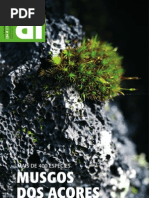 Diário Insular - Nº 254 - 17.02