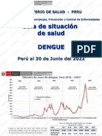 Dengue-Diario 202290 30 132315