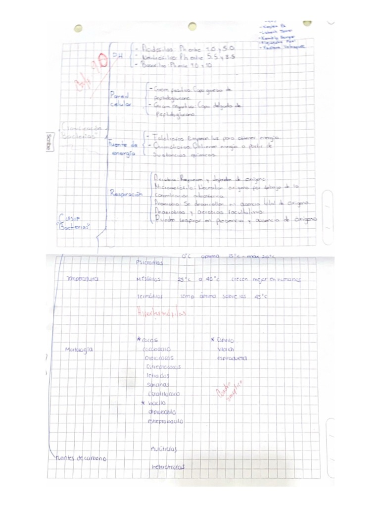 Clasificación Bacterias | PDF