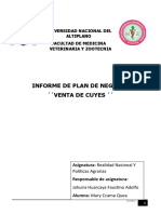 UNIVERSIDAD NACIONAL DEL ALTIPLANO Plan de Negocios