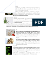 Plantas Medicinales Con Info