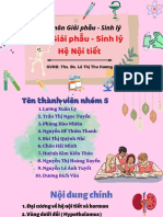 Giải phẫu - sinh lý - Nhóm 5