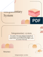 Integumentary System