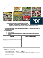 Ficha de Aplicación de Las Plantas Nativas en El Perú