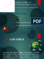 JAguilar - Estructura y Ciclos Reproductivos de Los Virus