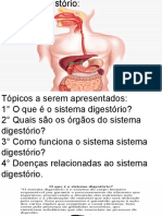 Sistema Digestório