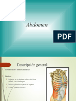 Anatomia Abdomen