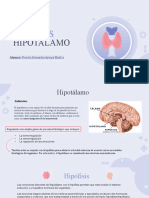 Hipofisis, Hipotalamo