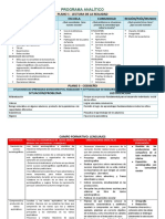 Programa Analítico A Entregar