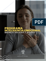 Programa Inteligencia Emocional