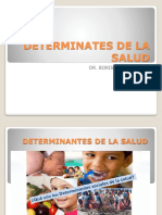 Determinates de La Salud