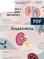 Anatomía y Fisiología Del Riñón