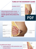 Anatomy of Female Breast 3