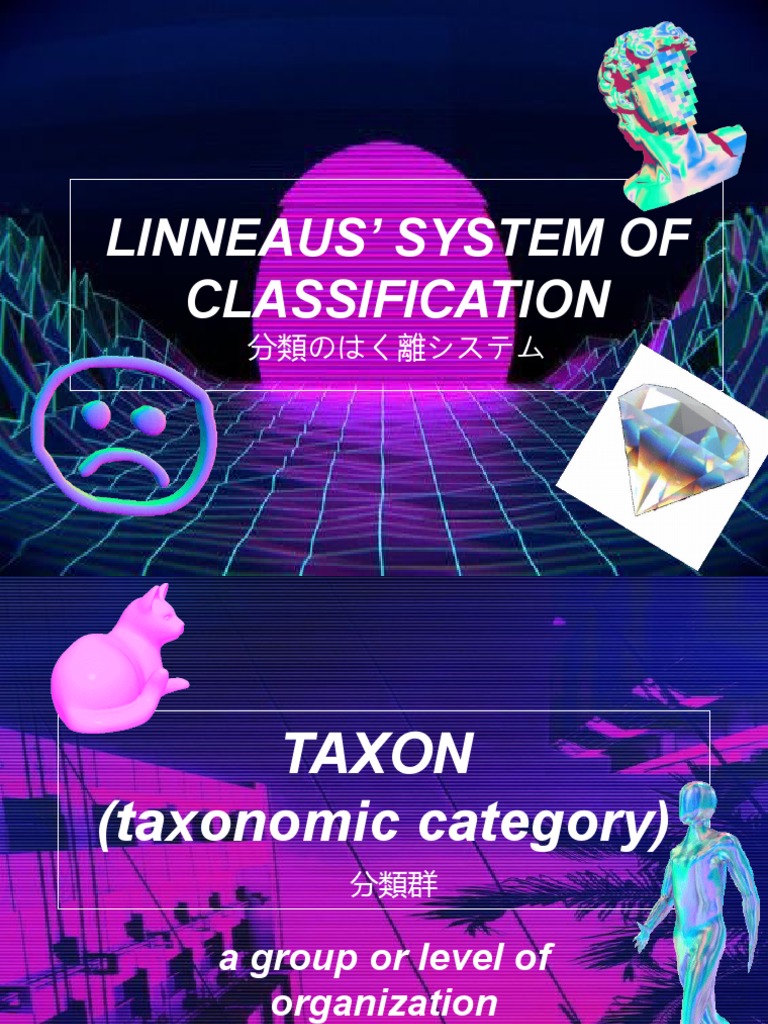 Trazodone Classifications