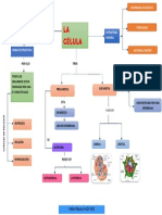 Mapa Conceptual de La Célula Adrian Palacios