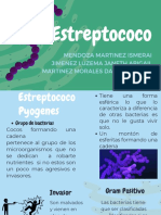 Estreptococo
