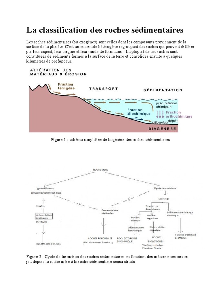 Classification des roches sédimentaires | PDF | Roche sédimentaire ...