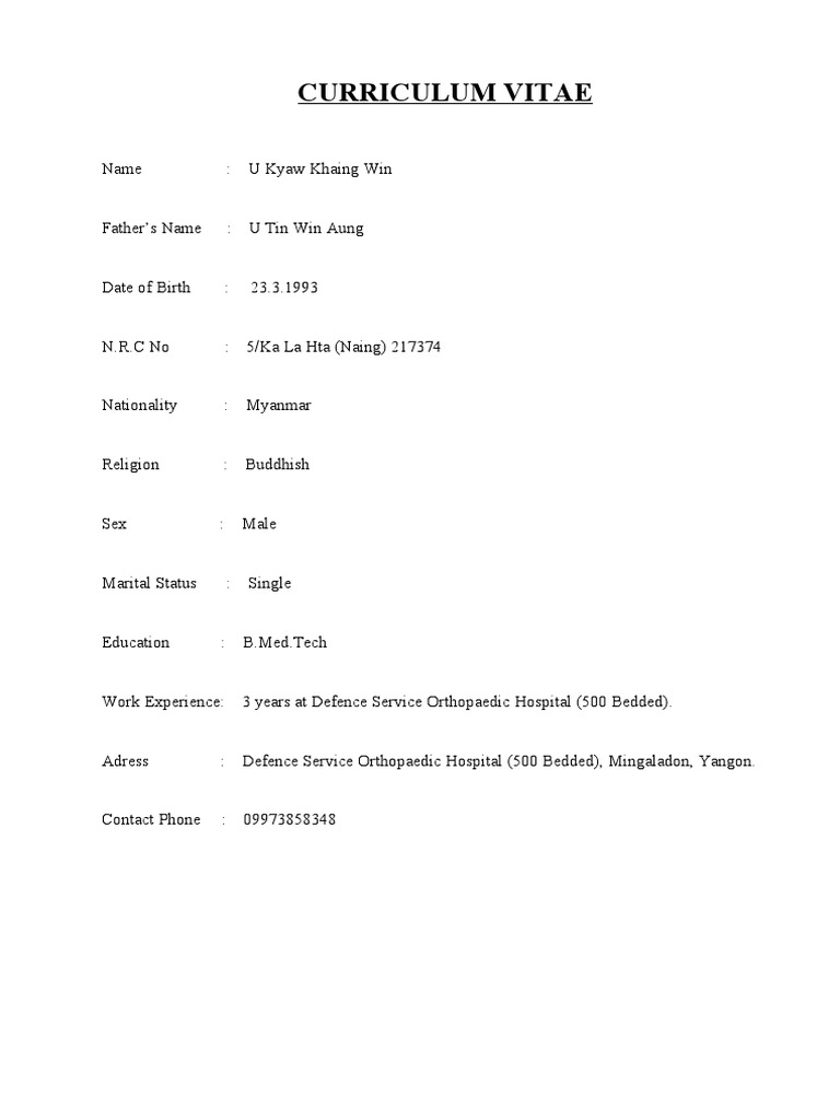 Curriculum Vitae PDF