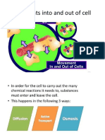 Chapter 3 - Movement Into and Out of The Cell