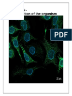 Chapter 2 - Organisation in The Organism