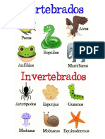 Animales Vertebrados e Invertebrados