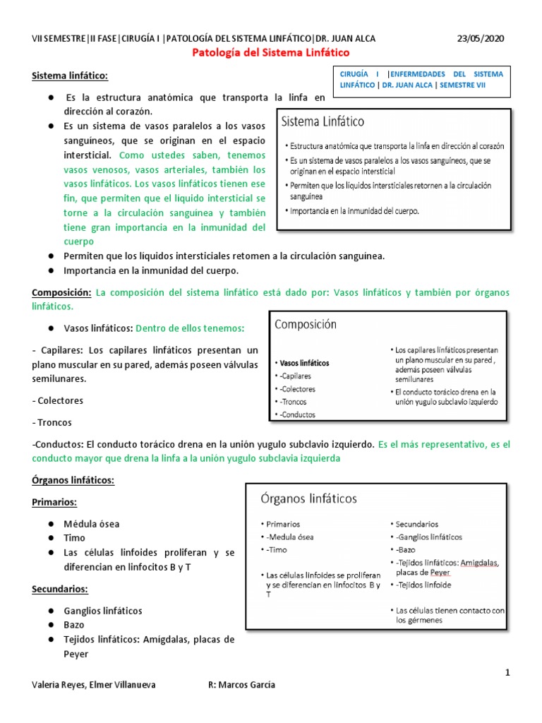Patología Del Sistema Linfático Pdf Sistema Linfático Edema