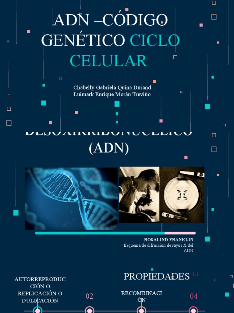 ADN, codigo genetico, ciclo celular | PDF | Adn | Ciclo celular