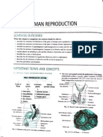 Reproduction Class 12 Biology 202324